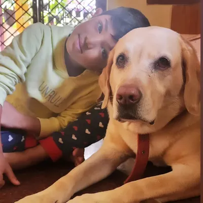 Beautiful Zoey the Labrador getting some extra cuddle time with Duggu. Every pet who steps into our home gets a free, gentle hug from this little boy.
