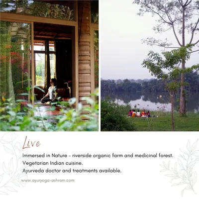 Our ashram is a sanctuary where you can live fully immersed in nature. From private moments of meditation in your room to group gatherings by the river, every aspect of life here is connected to the peaceful rhythm of the natural world.