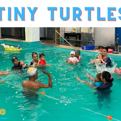 A wonderful group shot from our Tiny Turtles infant swimming coaching. Parents and babies bond in the water while learning essential safety skills with our instructors.