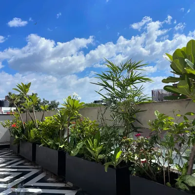 A throwback to this gorgeous terrace makeover in East of Kailash. The black planter boxes create a sharp contrast against the geometric tiles and blue sky.