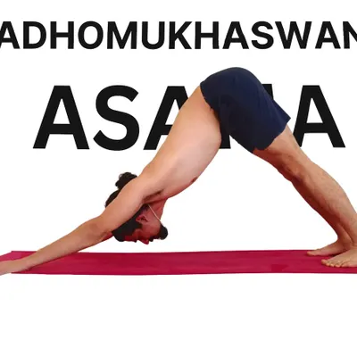 Adho Mukha Svanasana, or Downward-Facing Dog, is one of the most recognized yoga postures. It strengthens the arms and shoulders, lengthens the spine, and counteracts the effects of sitting all day.