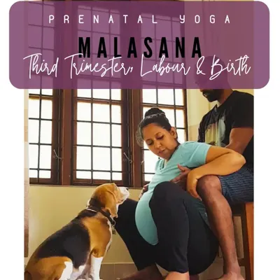 The Malasana, or deep squat, is a key pose for birth preparation. Here, I'm demonstrating a supported version with my partner, which is great for the third trimester.