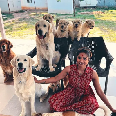 This picture fills my soul with happiness. Being surrounded by dogs of all shapes and sizes is my happy place, and it's what inspired me to dedicate my career to them.