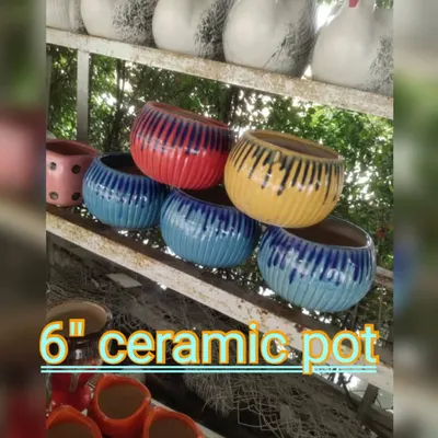 A selection of colorful 6-inch ceramic pots. These are great for adding a pop of color to your indoor plant display.