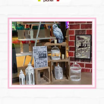 A detailed corner of a Harry Potter party, featuring a Hedwig prop, caged owls, and a "I'd rather be at Hogwarts" sign.
