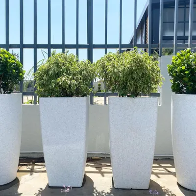 This is an example of how my plants can be used for modern terrace and balcony decoration. The image shows a set of four large outdoor planters with neatly shaped topiary plants, creating a clean and green look.