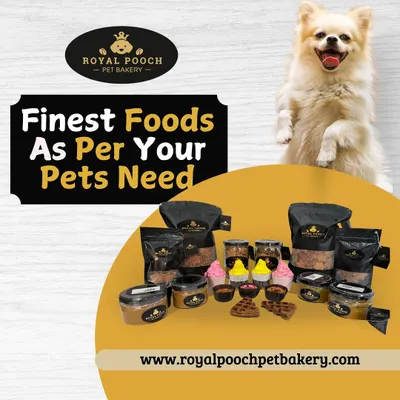 This is a snapshot of the finest foods I create, based on your pet's needs. You can see my full range of treats, including cookies, cupcakes, waffles, and peanut butter, all made with the best ingredients.