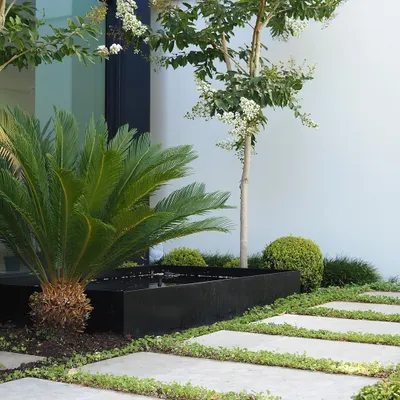A close-up of a modern garden detail. The design features a crisp, black raised planter and rectangular stone pavers with a creeping groundcover planted in the gaps for a soft, green contrast.