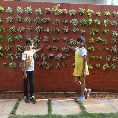 Here is the finished vertical garden, a living wall that adds so much character to this home's walkway. It's a great solution for anyone wanting a garden without sacrificing floor space.