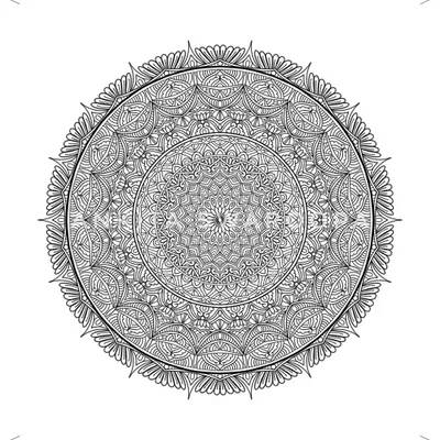 A highly intricate, full-circle mandala drawn in black and white, showcasing the beauty and complexity of pure line work.