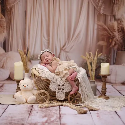 A beautiful, complete boho setup featuring a wicker pram, pampas grass, and lace details. This style creates a warm, serene, and highly aesthetic portrait.