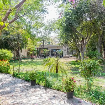 We designed this office to feel tranquil and connected to nature. A path winds through a lush garden, leading to a workspace that is filled with soft, natural light.