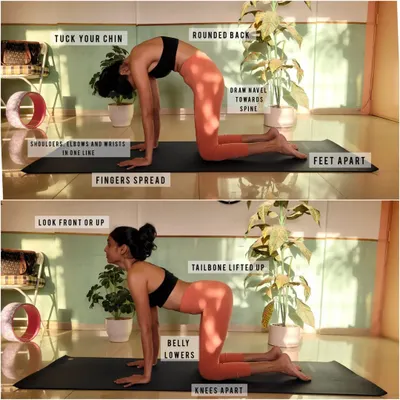 Here is a guide to the alignment of Marjaryasana and Bitilasana, or Cat-Cow pose. This gentle flow is a perfect warm-up, bringing flexibility to the spine and connecting breath to movement. Notice the key actions like tucking the chin and lifting the tailbone.