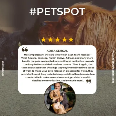 Adita's kind words about our team's dedication to her dog Pluto's relocation to London warm our hearts. We are so grateful she trusted us with his two-week crate training and the entire journey.