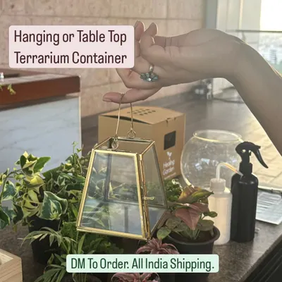 This geometric terrarium container is one of my most versatile pieces. It can be used as a hanging planter or a tabletop decoration, perfect for both open and closed terrarium designs. I ship these all over India.
