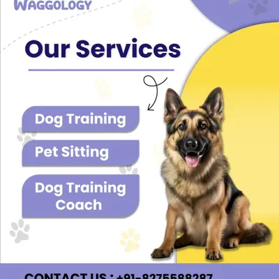 A clear and simple graphic listing my core services: Dog Training, Pet Sitting, and Dog Training Coach.