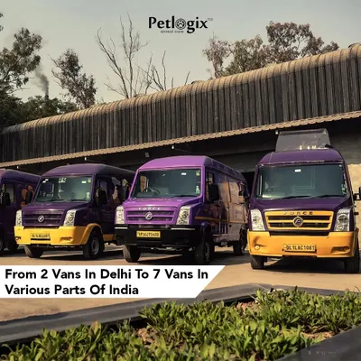 From 2 vans in Delhi to 7 vans across India, our fleet is growing. We are committed to bringing convenient, high-quality pet grooming to more locations.