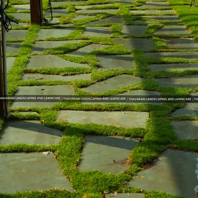 I love combining the clean lines of stone pavers with the softness of grass. This intricate pathway design creates a beautiful, geometric pattern that feels both natural and deliberately designed.