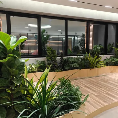 Imagine working here. This is a work-in-progress still from a biophilic office space in Hyderabad, where workstations are completely surrounded by lush, green planter beds.