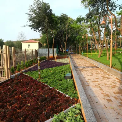 A long, paved brick walkway I installed in a large park. It is bordered by raised beds with colorful ground cover, demonstrating how hardscaping directs flow and defines planting areas.