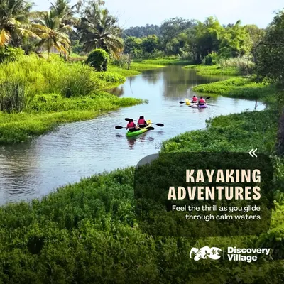 Feel the thrill as you glide through calm waters on a kayaking adventure. It's a fantastic way for your team to explore the natural beauty of the river at their own pace.