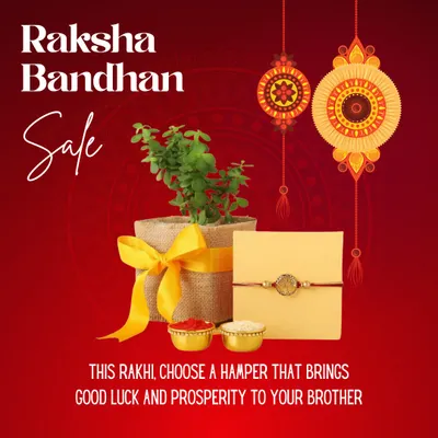 This Raksha Bandhan, choose a hamper that brings good luck and prosperity to your brother. Our Rakhi with Plants combo is a unique and meaningful gift that will continue to grow.