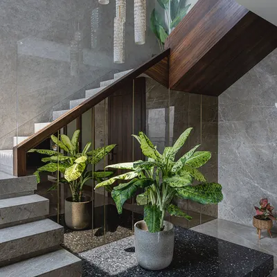 This staircase in the 'Aria Residence' is a centerpiece of the home. We used grey marble for the steps and a rich veneer for the underside and railing, creating a beautiful contrast. The space underneath is utilized for greenery, bringing nature indoors.