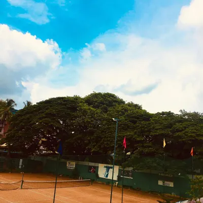 A wide view of our facility, showcasing the beautiful natural surroundings. The large trees provide plenty of shade and a serene backdrop for your game.
