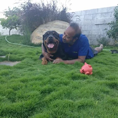 A cherished memory of our head trainer with Tyson, our champion Rottweiler. The bond we build with our dogs is the most important part of our philosophy.