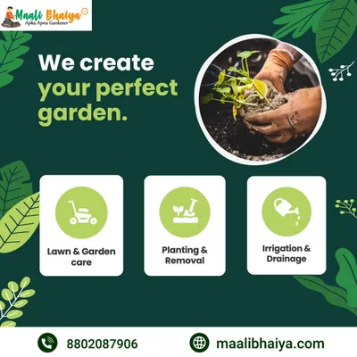 Ye hamari main services hain: Lawn aur garden ki dekhbhaal, naye paudhe lagana ya purane hatana, aur paani ke liye sahi irrigation system banana. Aapki har gardening ki zarurat ke liye main yahan hoon.