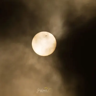 A lone bird flies across the face of the morning sun, creating a dramatic silhouette against the hazy, golden light. This artistic shot conveys a sense of freedom and the grand scale of nature.