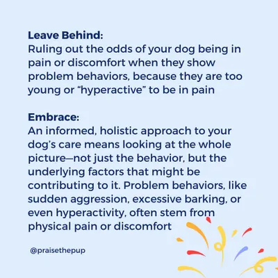 Let's leave behind the idea that young or "hyperactive" dogs can't be in pain. I embrace a holistic approach that always considers physical discomfort as a potential root cause of problem behaviors.