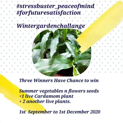 Announcing our winter garden challenge. This is an invitation for our community to grow flowers and vegetables together over three months, with a chance to win live plants and seeds.