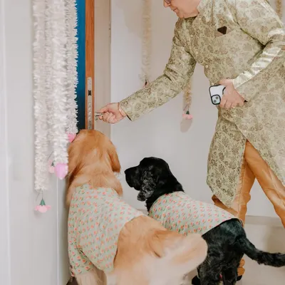 Two dogs in matching printed outfits eagerly greet guests at the door during a Mehendi ceremony. This shot perfectly captures how pets are an integral and joyful part of family celebrations.