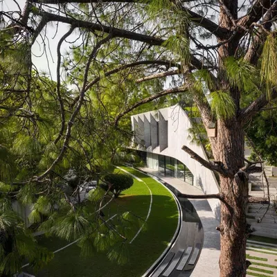 Villa KD 45, a recently completed private residence, viewed through the branches of a mature pine tree. The design uses a curving form and a green roof to merge with the lush landscape.