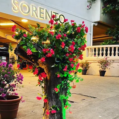 This is an artificial tree I created for an outdoor entrance area. I wrapped a tree trunk with vibrant red artificial bougainvillea flowers to create a permanently blooming tree that welcomes visitors.