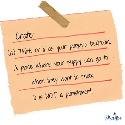 Let's redefine the crate. Think of it as your puppy's bedroom, a place where they can go to relax and feel safe. It is never, ever a punishment.