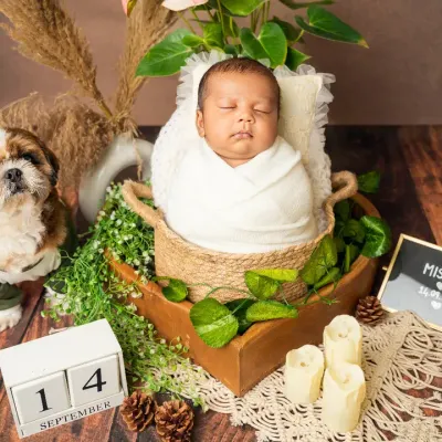 A full view of our boho-themed newborn setup, complete with rustic props, greenery, and the family's beloved pet. We design these scenes to create a beautiful and serene environment for your baby's first photoshoot.