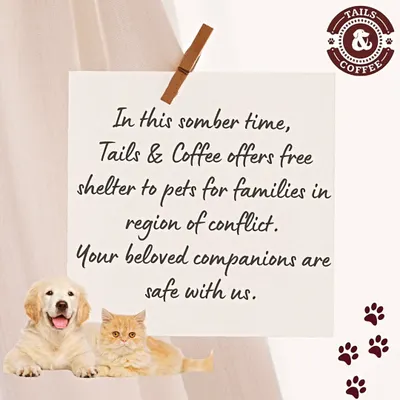 We are more than a business; we are part of the community. During times of conflict, we offer free shelter to pets of armed forces families. Your beloved companions are always safe with us.
