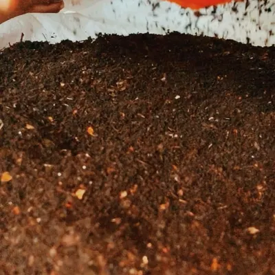 This is the reward for your efforts: rich, dark, crumbly compost. We call it 'black gold' because it is one of the most valuable things you can give back to the soil, completing the natural cycle.