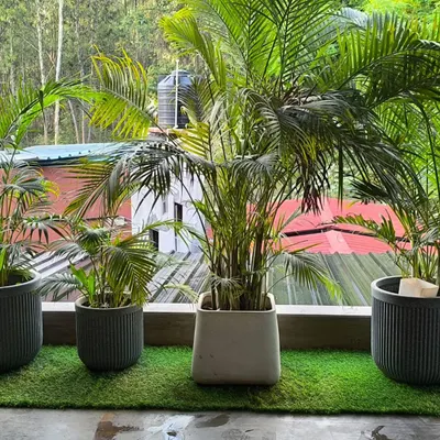 This balcony was transformed into a vibrant garden space by adding artificial grass. It serves as a perfect green base for the large potted palm plants, creating a tropical feel right outside the apartment door.