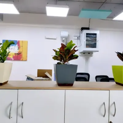Beyond gifting, we also enhance corporate environments with plant setups. These three statement plants in modern planters were selected to bring life and tranquility to this office space.