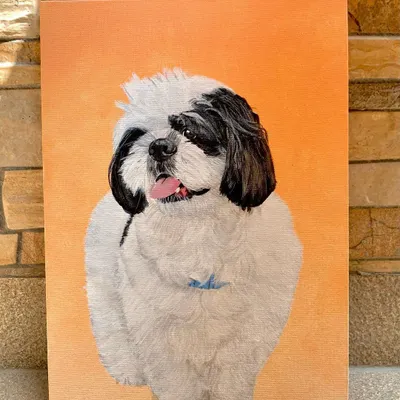 A custom commissioned portrait of a fluffy Shih Tzu. I spent hours on the fur, using a million tiny strokes to capture its texture and the dog's happy expression.