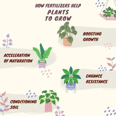 Fertilizers are food for your plants. They help by boosting growth, accelerating maturation, enhancing resistance to disease, and conditioning the soil for long-term health.