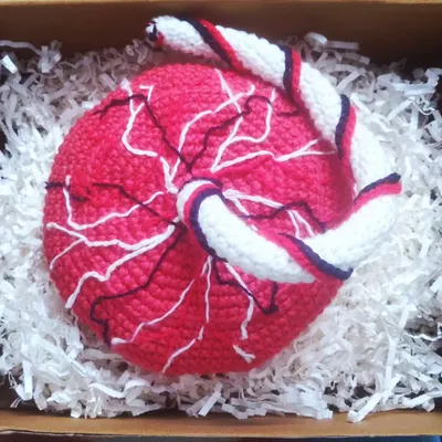 Made to order. This is a crochet placenta model I was commissioned to make for a childbirth educator. It was a fascinating and challenging project that I'm very proud of.