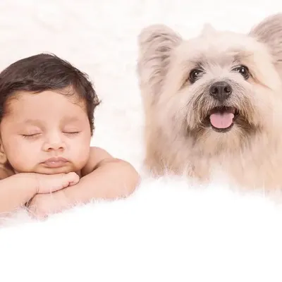 A sleepy baby and a happy, alert dog make the perfect pair. I use a simple, clean white background to keep the focus on these two best friends.