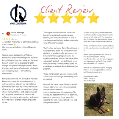 5 stars for Astro, 5 stars for us! This detailed review from Astro's owner, who sent him from Mumbai for a three-month program, speaks volumes about the transformation we achieved. Thank you for the trust.