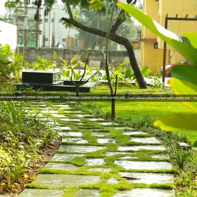 A natural stone pathway where grass is encouraged to grow in the gaps. This technique, known as a flagstone path with grass joints, creates a softer, more organic look that beautifully merges the walkway with the lawn.