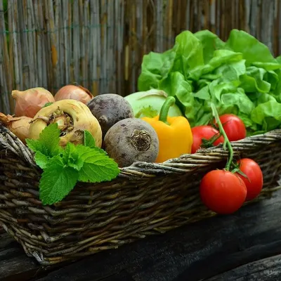 A basket filled with fresh, farm-sourced vegetables. I believe that great taste starts with great ingredients, which is why I am committed to using only the freshest produce in all my dishes.