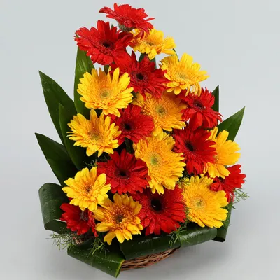 This cheerful basket is overflowing with bright red and yellow gerbera daisies, creating a lively and rustic feel. It's a wonderful gift for a housewarming or to send a message of pure happiness, delivered ready to be displayed.